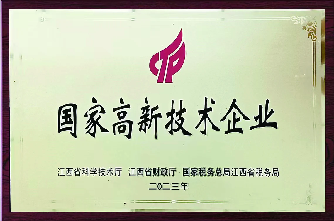 National High-Tech Enterprise recognition awarded during RAYONE capability development